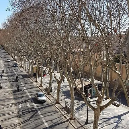 Rambla Palma Center-3