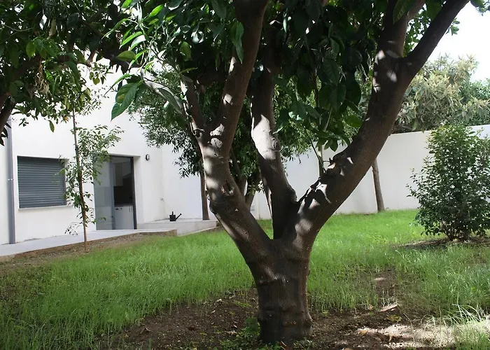 Alquiler de vacaciones: Residencia Mayol - Adults Only